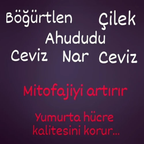 Klinik Fotoğrafı