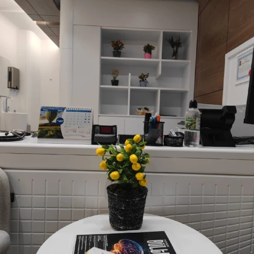 Klinik Fotoğrafı