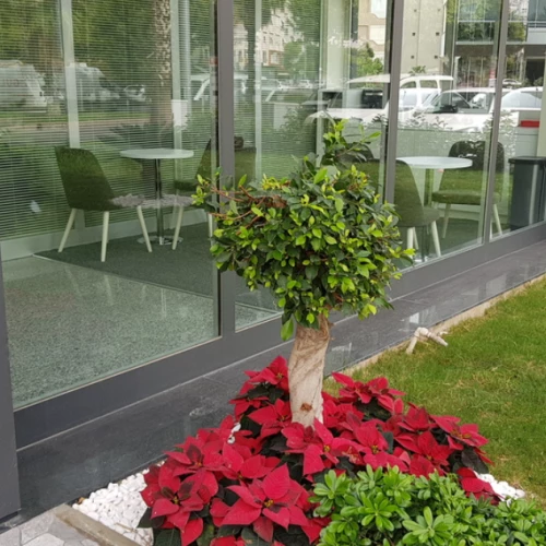 Klinik Fotoğrafı