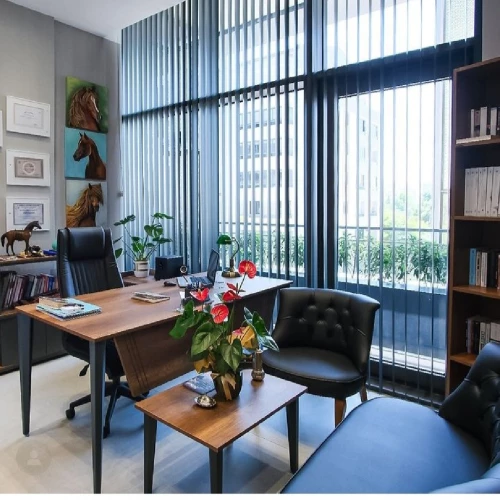 Klinik Fotoğrafı