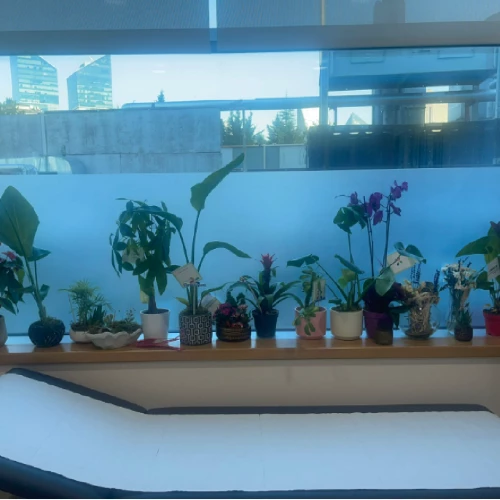 Klinik Fotoğrafı