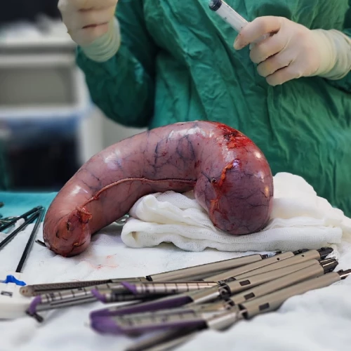 Klinik Fotoğrafı