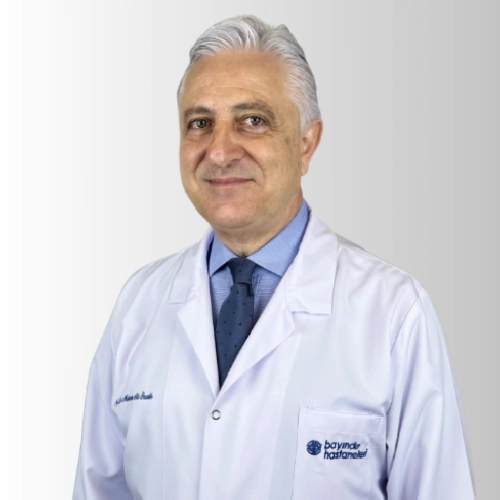 Prof. Dr. Mehmet Ali Özatik