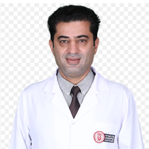 Prof. Dr. Yakup Bozkaya