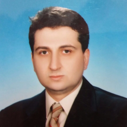 Bilgehan Erkut