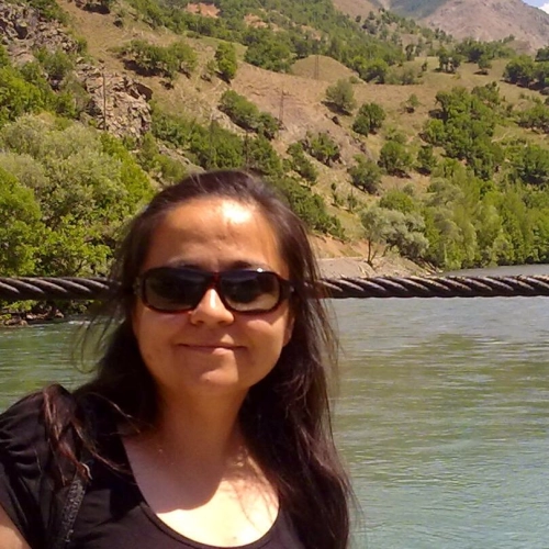 Gökçe Cangel