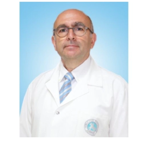 Prof. Dr. Haluk Berk