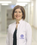 Dilek Mete Hürel