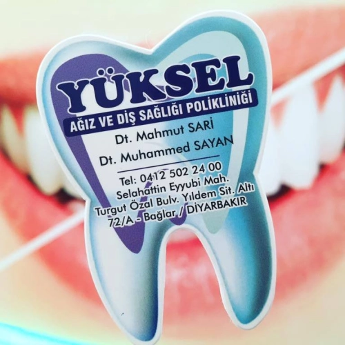 Dr. Dt. Mahmut Sarı