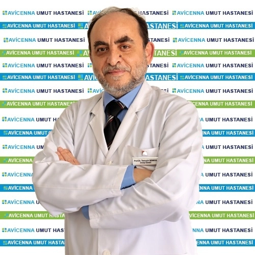Temuçin Şenkul