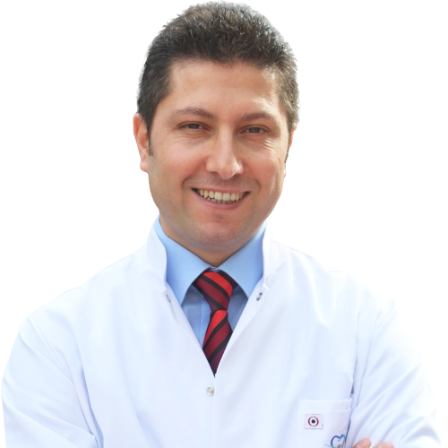 Prof. Dr. Dt. Mustafa Tek