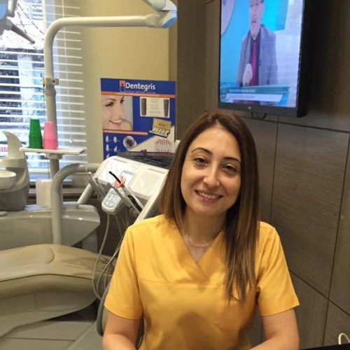 Dr. Dt. Pınar Pamir Metiner