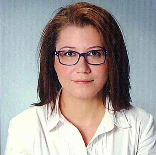 Dr. Öğr. Üyesi Sema Bengi Gürkan