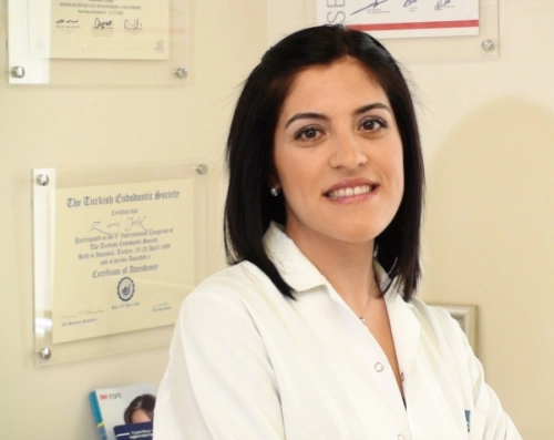 Dr. Dt. Demet Ulaman Çıkrıkcı