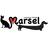 Dr. Vet. Cahit Gürsel Bellek