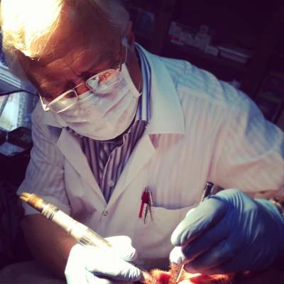 Dr. Dt. Osman Altın