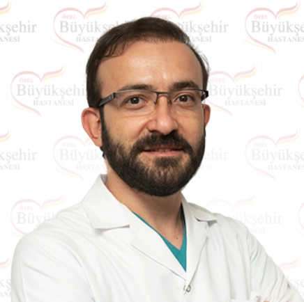 Mehmet Ardıç