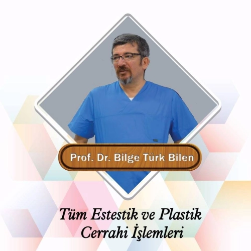Bilge Türk Bilen