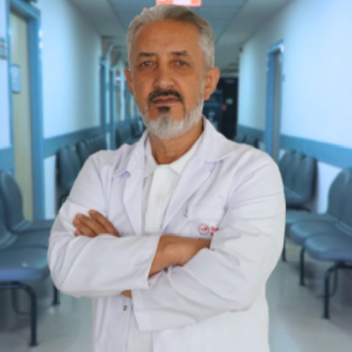 Doğan Boylu