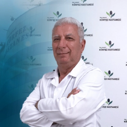 İbrahim Necati Yüksel