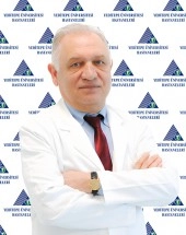 Neşet Köksal