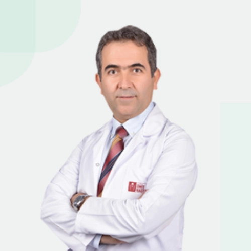 Tolga Doğan