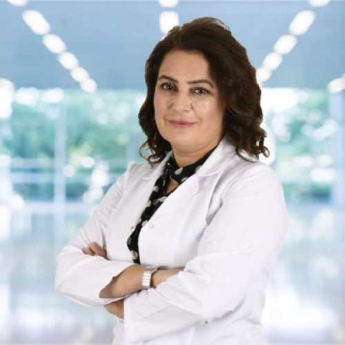 Işık Akbulut
