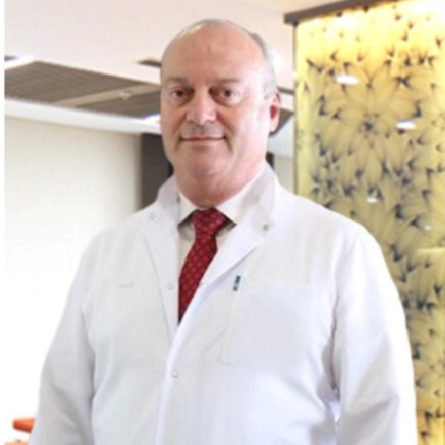 Şafak Sahir Karamehmetoğlu