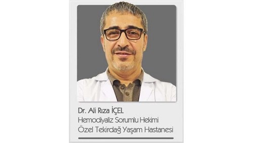 Ali Rıza İçel