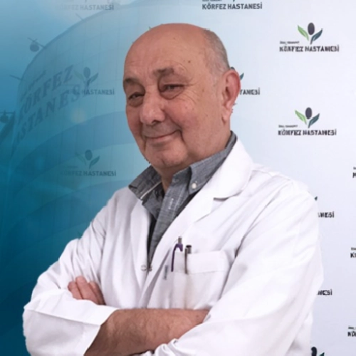Ahmet Güzeliş