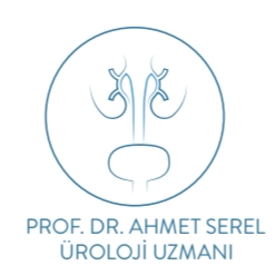 Ahmet SEREL