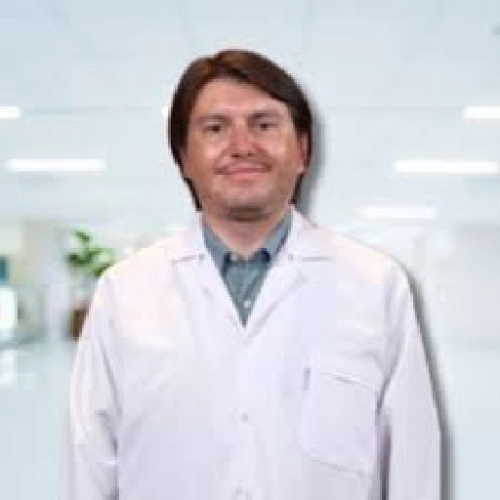 Ahmet Gül