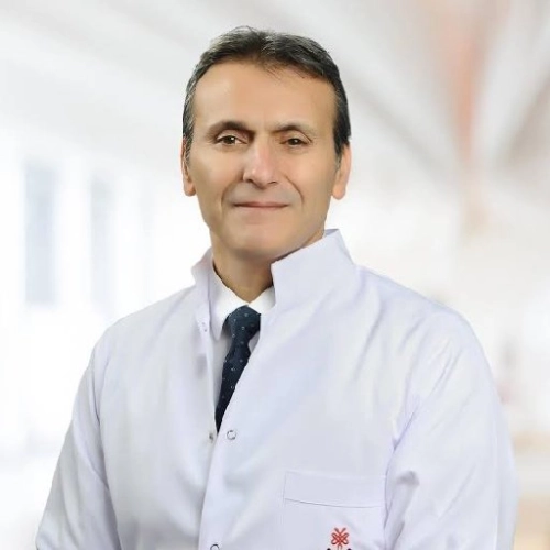 Alpay Örki