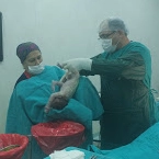 Op. Dr. Hüseyin Sert