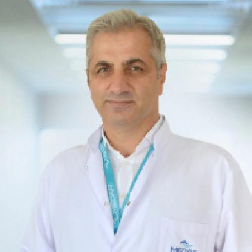Nizamettin Demirci