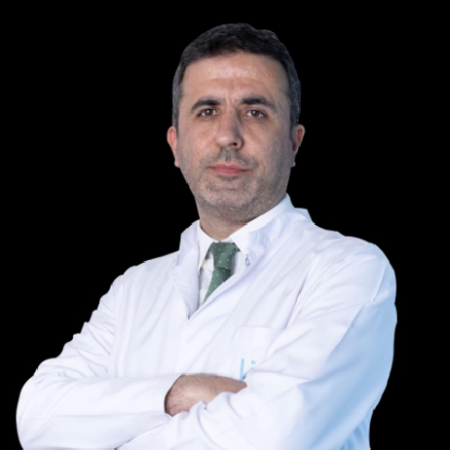 Özgür Kaya