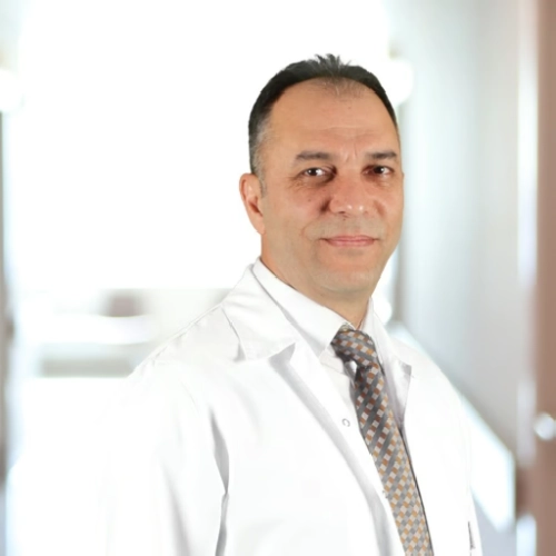 Öğr. Üyesi Hilmi Gözlükaya