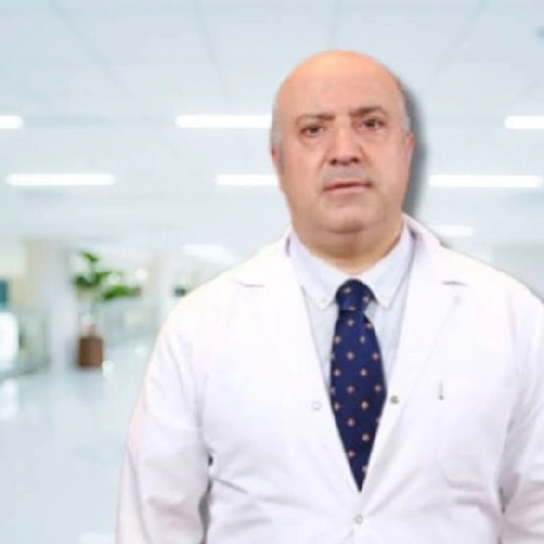 Dr. Öğr. Üyesi Altay Babacan