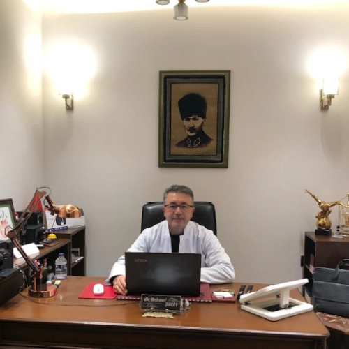 Mahmut Şahin