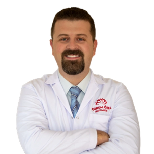 Teoman Başaran