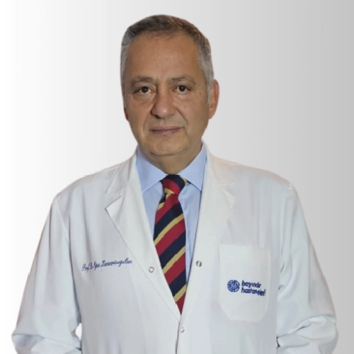 Oğuz Okan Karaeminoğulları