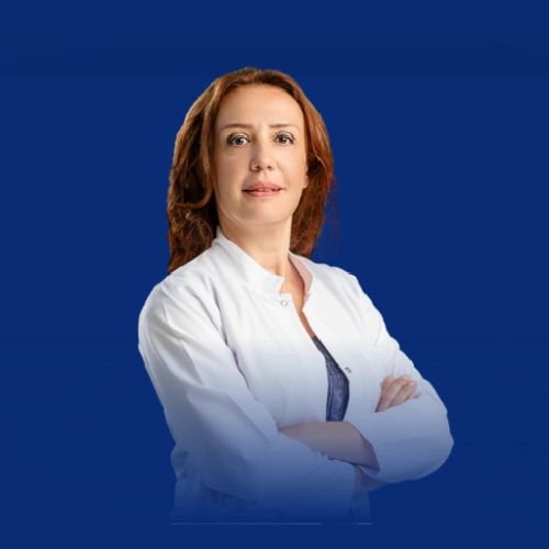 Nihan Akça Gür