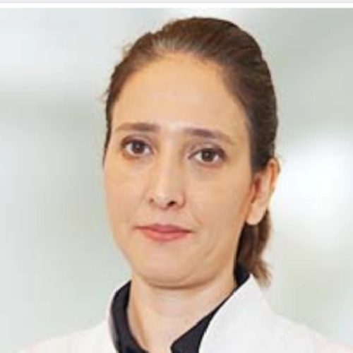 Prof. Dr. Ayşe Sevgi Karadağ