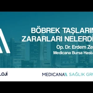Böbrek Taşlarının Zararları Nelerdir? - Op. Dr. Erdem Zengin