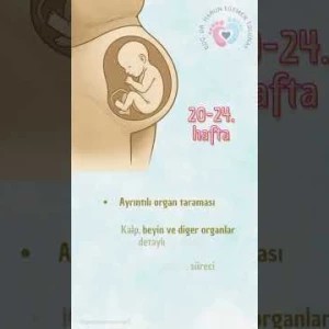 Gebelikte Önemli Haftalar
