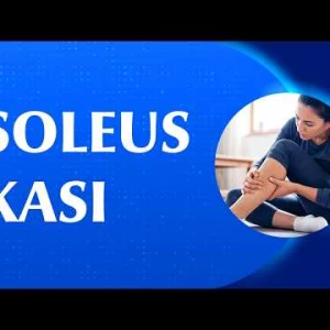 Masabaşı Çalışanlar Dikkat! Vücudumuzun İkinci Kalbi Soleus Kası Çalışmazsa Ne Olur?