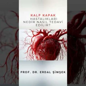 Kalp kapak hastalıkları nedir? Nasıl tedavi edilir ?