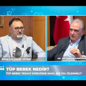 Tüp Bebek Nedir?