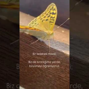 Tırtılın Kelebeğe dönüşmesi gibidir insanın değişimi...
