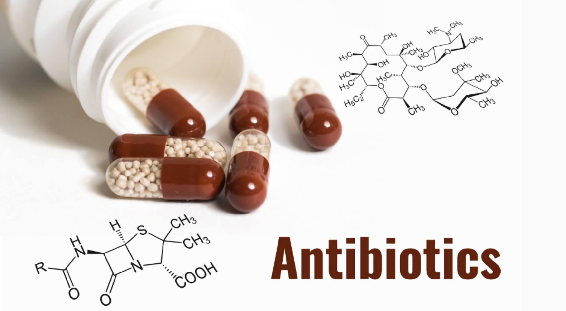 Antibiyotik kullanırken nelere dikkat etmeliyiz ? makalesi